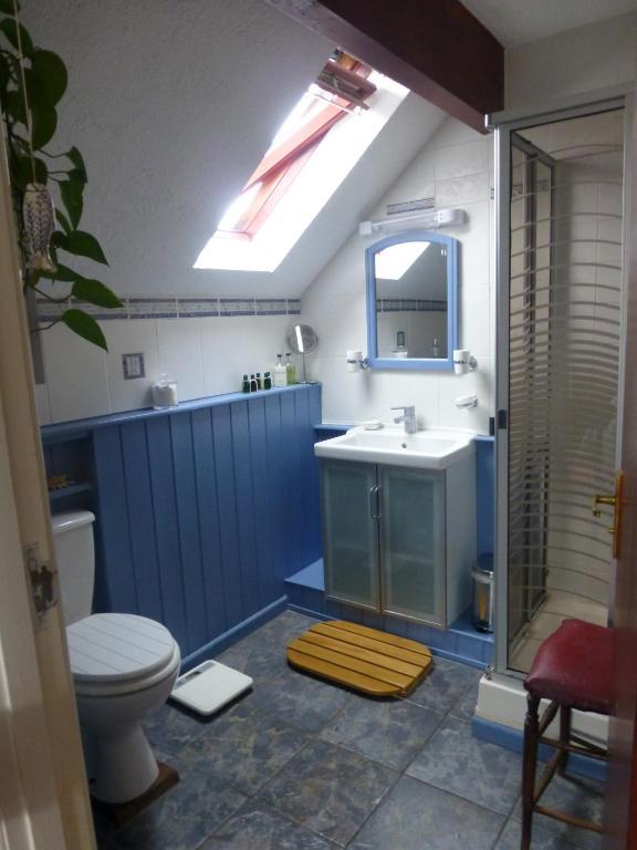 Ty Carreg Bed & Breakfast Llanwrtyd Wells Bilik gambar