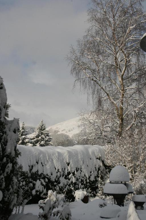 Ty Carreg Bed & Breakfast Llanwrtyd Wells Luaran gambar