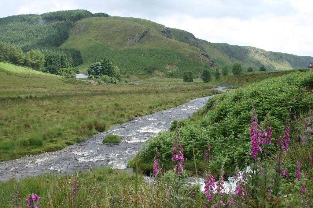 Ty Carreg Bed & Breakfast Llanwrtyd Wells Luaran gambar