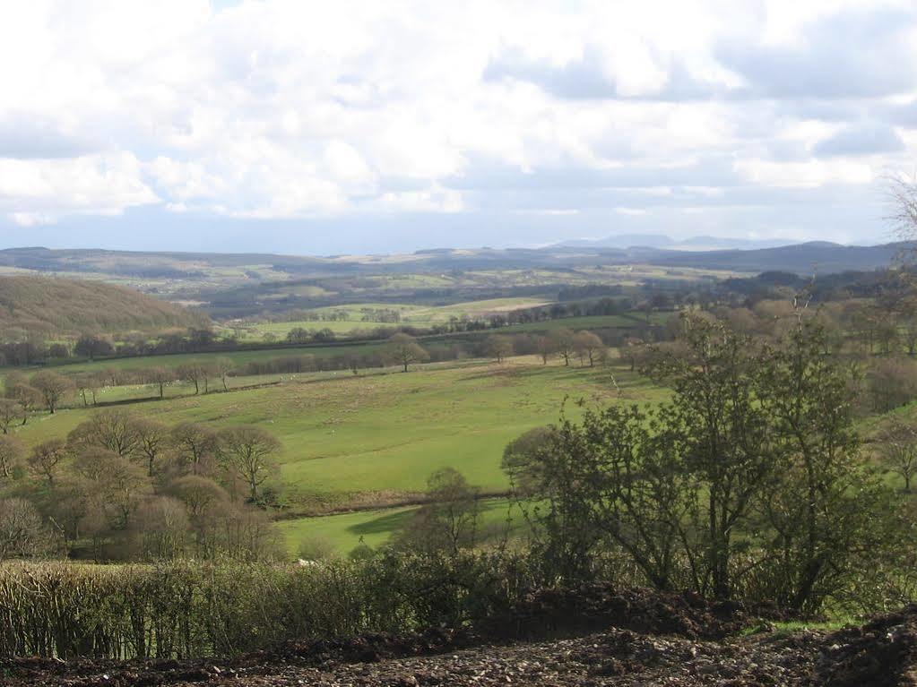 Ty Carreg Bed & Breakfast Llanwrtyd Wells Luaran gambar