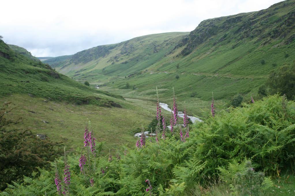 Ty Carreg Bed & Breakfast Llanwrtyd Wells Luaran gambar