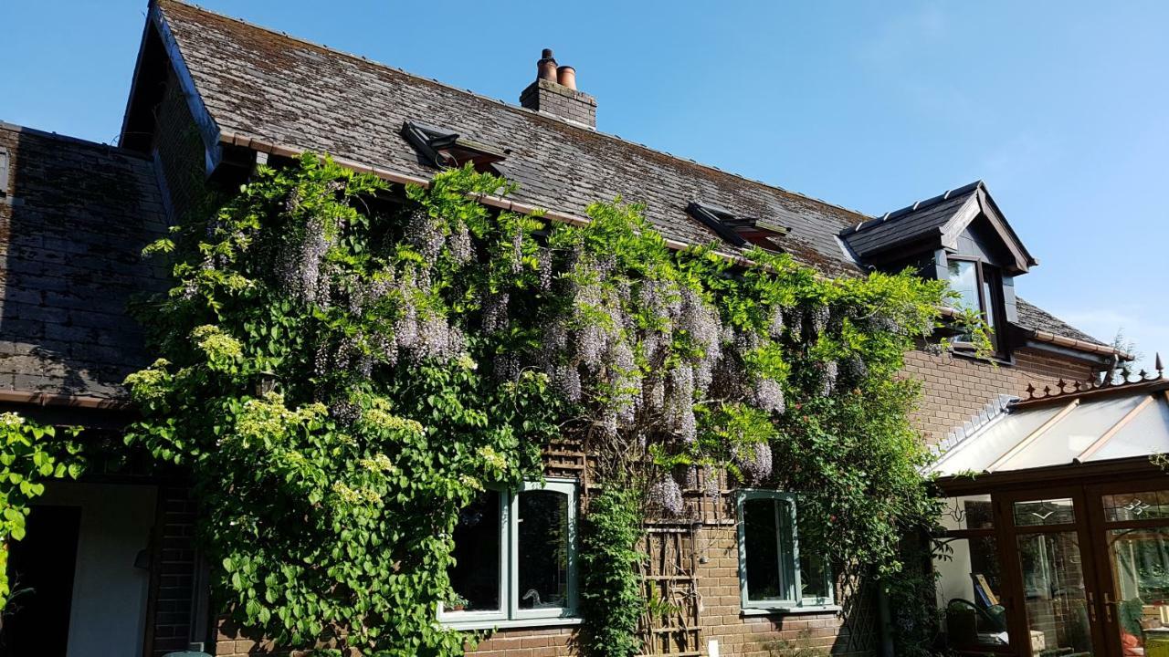 Ty Carreg Bed & Breakfast Llanwrtyd Wells Luaran gambar